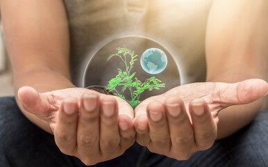 Hand touching green small plant hologram, science environment concept in conjunction with modern technology.