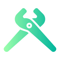 pliers gradient icon
