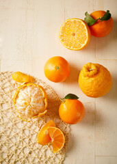 오렌지, 귤, 한라봉 등 시트러스 계열의 맛있는 과일 세팅