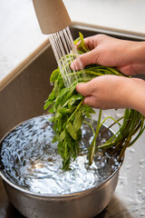 찬물에 씻는 미나리