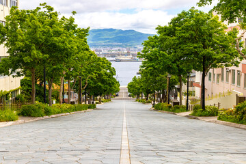 八幡坂（北海道函館市）