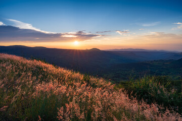 sunset over the field