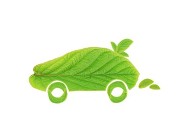 car of green leaves on white background. eco car concept. The concept of reducing CO2 emissions from vehicles.symbolising the need to invest in alternative fuel solutions for transportation.