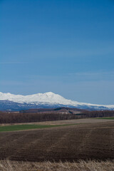 Fototapeta na wymiar 晴れた春の日の畑作地帯と雪山　大雪山 
