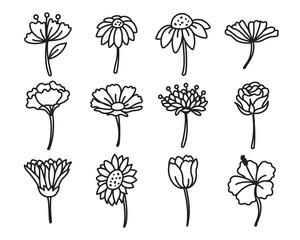 Flower side view hand drawn doodles drawing vector illustration including a rose, sunflower, morning glory, hibiscus, etc.
