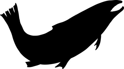 Salmon art highly detailed in line art style.Fish png by hand drawing.