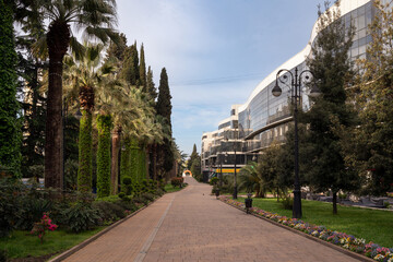View of Navaginskaya Street - the main pedestrian street of the city on a sunny summer day, Sochi,...