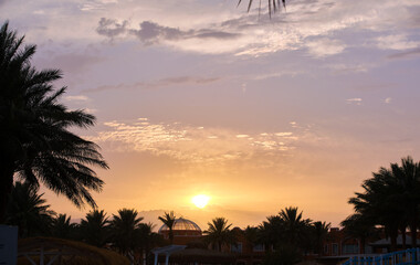 Obraz premium Beautiful green coconut palm trees on tropical beach against evening sky. Summer vacation concept