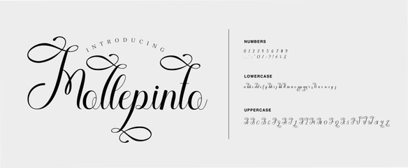 Fototapeta na wymiar Wedding luxury alphabet letters font. Decorative typography elegant classic lettering serif fonts and number vintage retro with tails. vector illustration