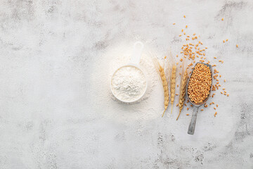 Wheat grains and white wheat flour in measure bowl set up on white concrete background.