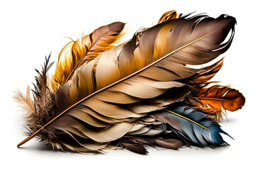 A bundle of feathers isolated on white background, illustration - Generative AI