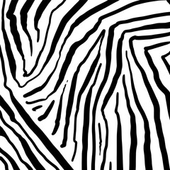 cute doodle illustration