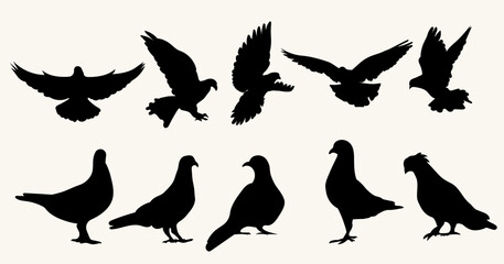 vector illustration set of bird silhouettes, Pigeon, eps 10
