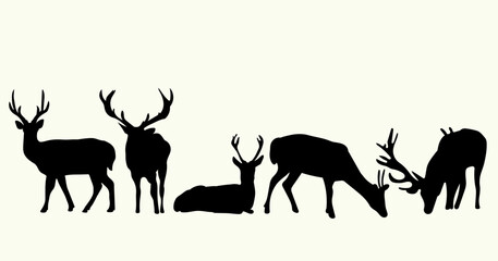 deer vector illustration eps 10

