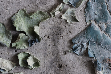 Peeling paint on the wall. Old concrete wall with cracked flaking paint. Weathered rough painted surface with patterns of cracks and peeling. High resolution texture for background and design. Closeup