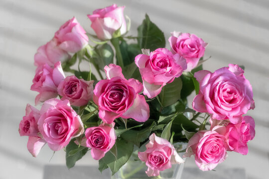 The photo shows a bouquet of pink roses in a vase