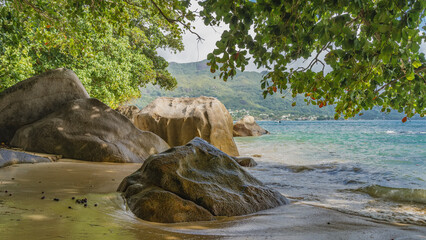 Green tree branches hang over the beach. Fallen fruit on wet sand. Picturesque boulders in the coastal strip. The boat is floating in the turquoise ocean. A hill in the distance. Seychelles. Mahe
