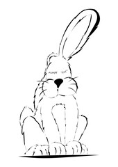Hase