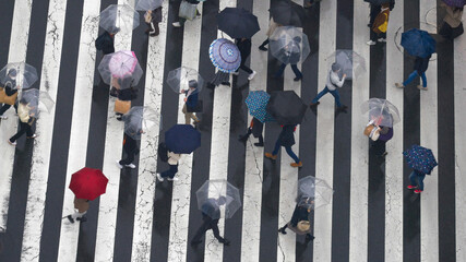 Crowd of busy pedestrian people holding umbrella crossing street crosswalk in Tokyo City, Japan in...