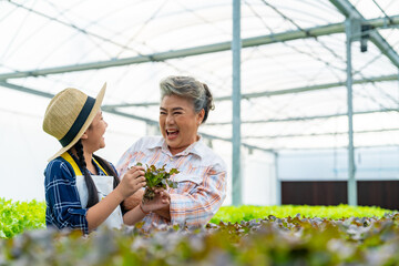 Grandmother teaching grandchildren girl learning to grow and care organic lettuce vegetable in hydroponics system greenhouse garden. Happy Asian family farmer working together in vegetable salad farm. - obrazy, fototapety, plakaty