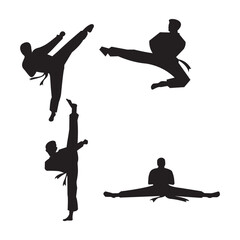 Taekwondo Vector icon design illustration 
