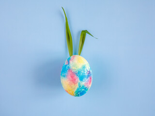 Colorful Easter Egg with Bunny Ears from green grass on blue Background. Creative Greeting Card. Minimalism Concept. Copy Space