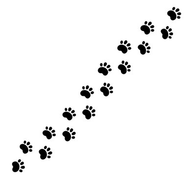 Dog paw print diagonal line. Cute cat pawprint. Pet foot trail. Black dog step silhouette. Simple doodle drawing. Vector illustration isolated on white background.