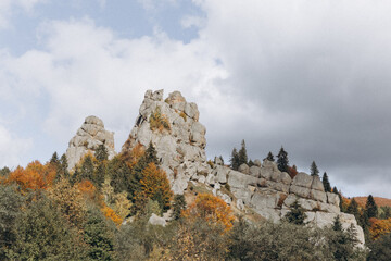 white stone rocks in the middle of a yellow-green autumn forest