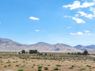 landscape in the desert