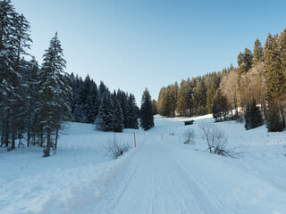 Bayerische Berglandschaften in Winter. Suttengebiet am oberen Ende des Tals der Rottach richtung Valepp mit verschneite Piste in mitten eines Tannenwaldes
