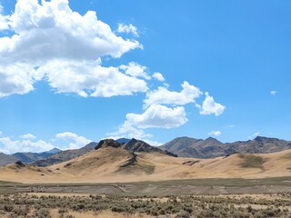 landscape in the desert