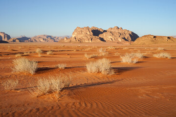 Wadi Rum Desert with red sand dunes, beautiful tourist destination, Wadi Rum, Jordan
