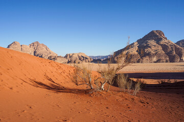 Wadi Rum Desert with red sand and blue sky, beautiful tourist destination, Wadi Rum, Jordan