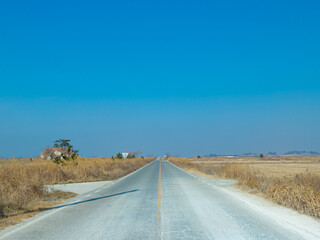 한국의 시골 도로 영광