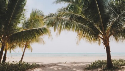 Fototapeta na wymiar Coconut Palms on the Seaside: Retro Summer Beach Photography Background