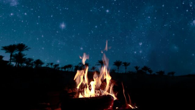 bonfire burns at night against the background of mountains and sea with bright stars