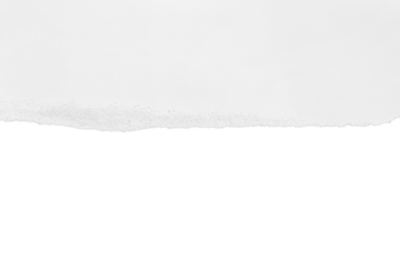 Torn white paper with shadow. Isolated