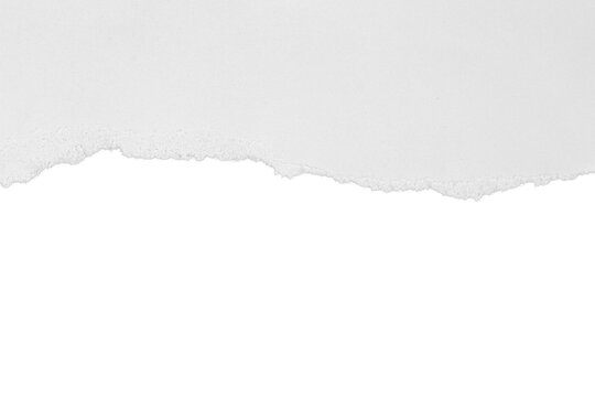 Torn white paper with shadow. Isolated