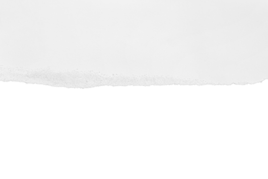 Torn white paper with shadow. Isolated