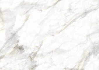 Obraz na płótnie Canvas Elegant background with a marble texture