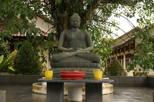 buddha statue with peaceful tree background