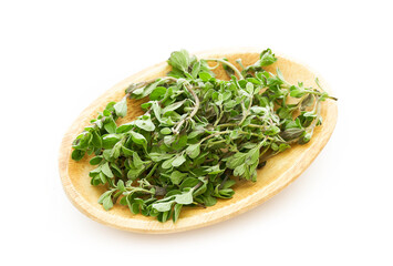 sweet marjoram leaves in wood bowl isolated on white background. fresh sweet marjoram leaves isolated on white background. sweet marjoram leaves                                 