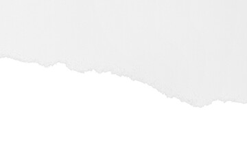 Torn white paper with shadow. Isolated