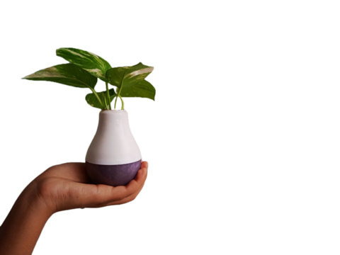 A hand is holding a led bulb with a money plant in it in a green background. Useful for green and eco energy and bioenergy businesses. 