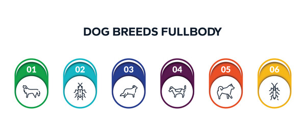 dog breeds fullbody outline icons with infographic template. thin line icons such as bernese mountain dog, red soldier beetle, bernese mountain, jack russell terrier, malamute, null vector.