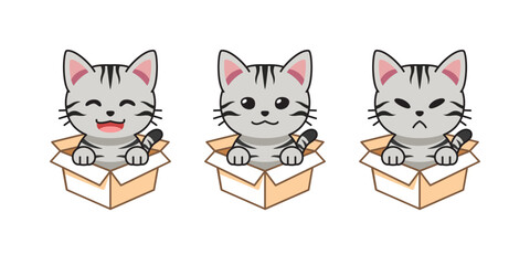 Vector cartoon illustration set of american shorthair cat showing different emotions in cardboard boxes for design.