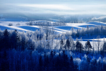 凍て付いた朝の丘（上富良野町）