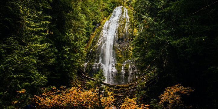 Proxy Falls from the loop trail.