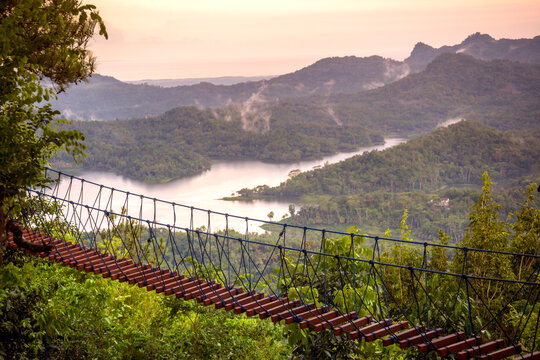 Suspension Bridge At Kalibiru National Park In Java, Indonesia