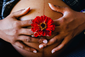 Close-up of women's hands holding flower over pregnant belly